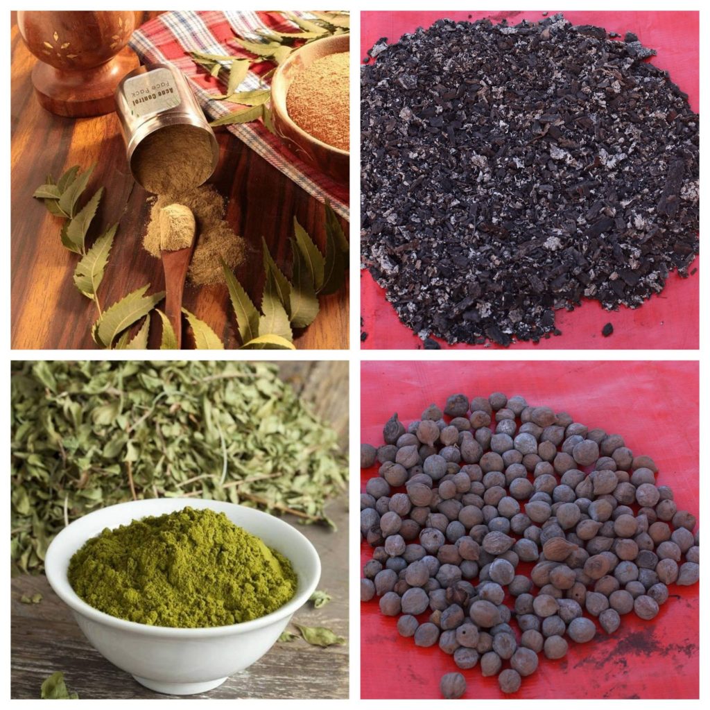 সিক্রেট একনিপ্যাক - Image 2
